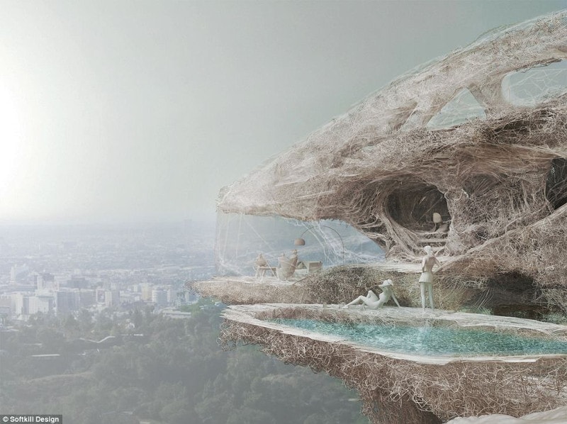 spider-web-architecture